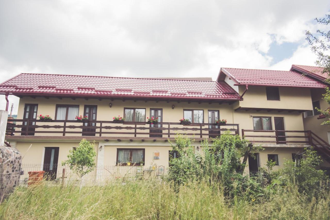 Vila Chic M Hotel Моечу де Жос Екстериор снимка